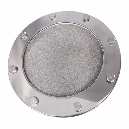 Diffuseur d'air d'ozone à disque en alliage de titane Flygoo pour diffuseur d'aération d'eau d'ozone